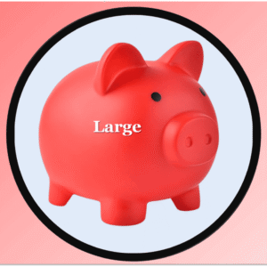 X7-1025 PIGGY BANK LARGE P/24 (2.95$Ea)