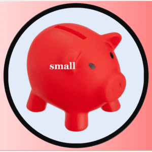 X7-1024 PIGGY BANK SMALL P/24 (2.25$Ea)