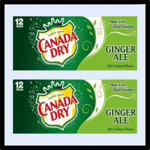 GINGER ALE SODA CANADA DRY PACK WHOLESALER